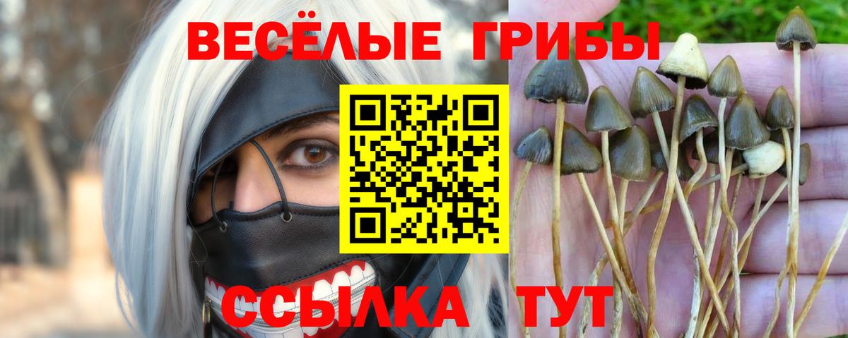 Амфетамин кристаллы  МДМА  COCAIN  Вход с VPN  ГАШ  Мефедрон   Коряжма  ГАШ  APVP СОЛЬ кристаллы  Конопля 