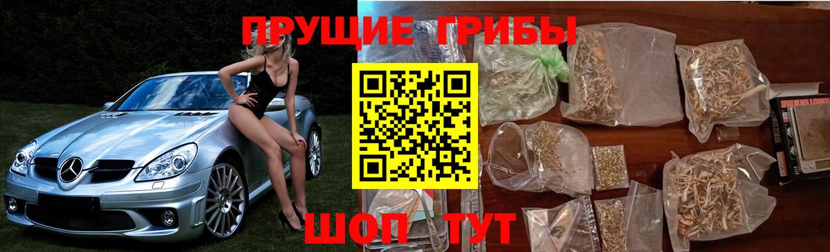 Галлюциногенные грибы ЛСД  Вход с VPN  Коряжма 
